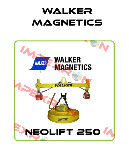 NEOLIFT 250  Walker Magnetics