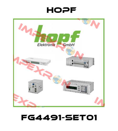 FG4491-SET01 Hopf
