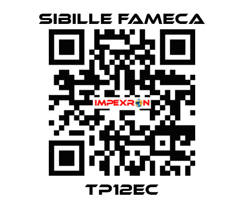 TP12EC Sibille Fameca
