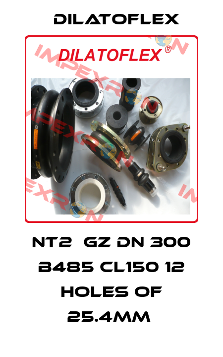 NT2  GZ DN 300 B485 CL150 12 HOLES OF 25.4MM  DILATOFLEX