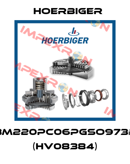 SBM220PC06PGSO973B2 (HV08384) Hoerbiger