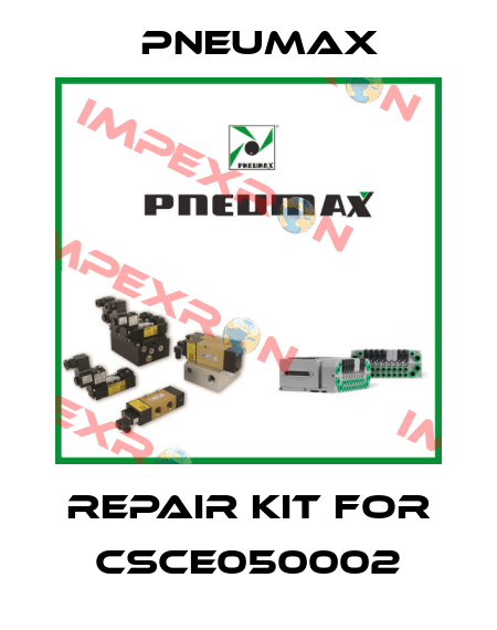 Repair kit for CSCE050002 Pneumax