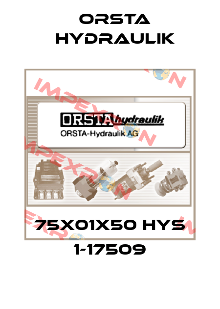 75x01x50 HYS 1-17509 Orsta Hydraulik