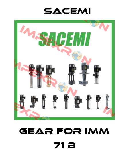 Gear For IMM 71 B Sacemi