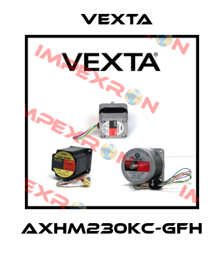 AXHM230KC-GFH Vexta