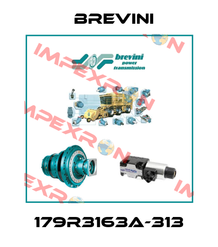 179R3163A-313 Brevini
