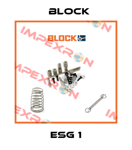 ESG 1 Block