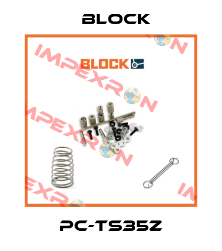 PC-TS35Z Block