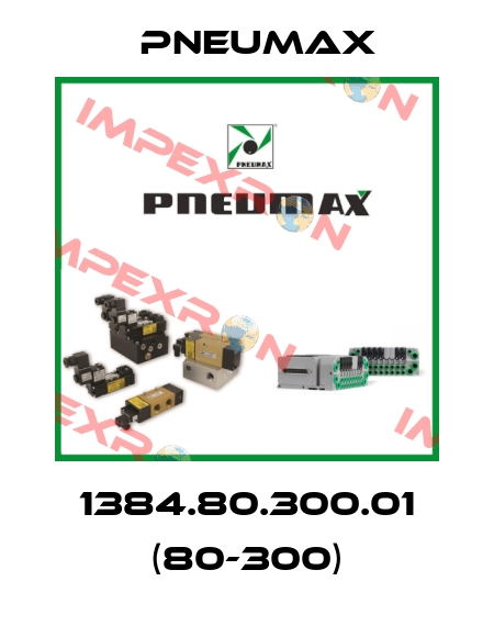 1384.80.300.01 (80-300) Pneumax
