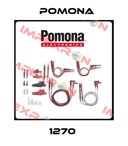 1270  Pomona
