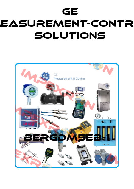 BERGDM5EB-1 GE Measurement-Control Solutions