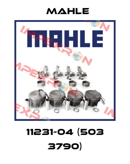 11231-04 (503 3790) MAHLE