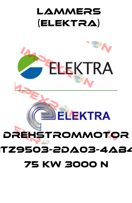 Drehstrommotor 1TZ9503-2DA03-4AB4 75 kW 3000 n Lammers (Elektra)