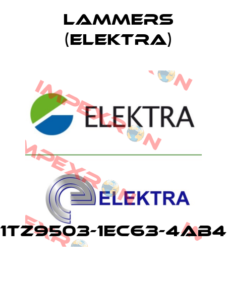 1TZ9503-1EC63-4AB4 Lammers (Elektra)
