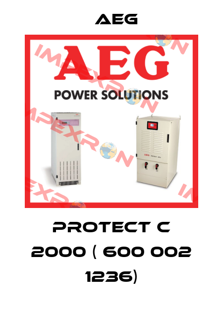PROTECT C 2000 ( 600 002 1236) AEG