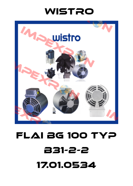 FLAI Bg 100 Typ  B31-2-2 17.01.0534 Wistro