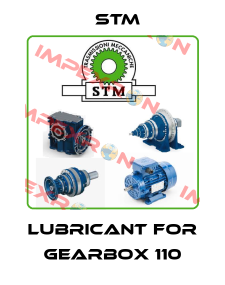 Lubricant for Gearbox 110 Stm