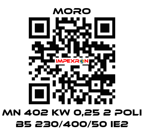 MN 402 KW 0,25 2 POLI B5 230/400/50 IE2 Moro