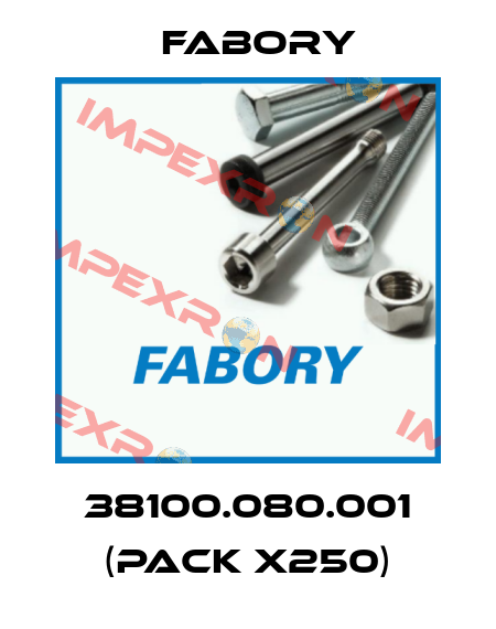 38100.080.001 (pack x250) Fabory
