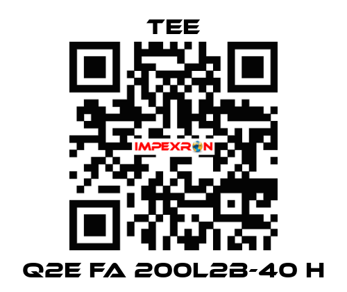 Q2E FA 200L2B-40 H TEE