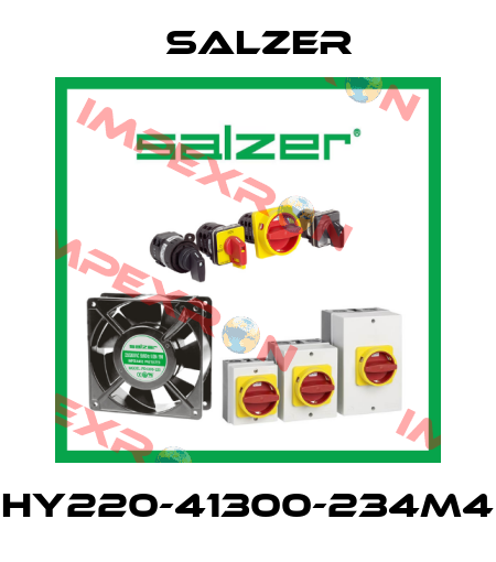 HY220-41300-234M4 Salzer