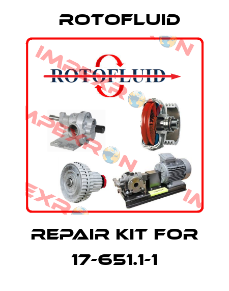 Repair Kit For 17-651.1-1 Rotofluid