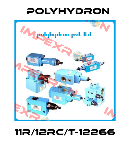 11R/12RC/T-12266 Polyhydron