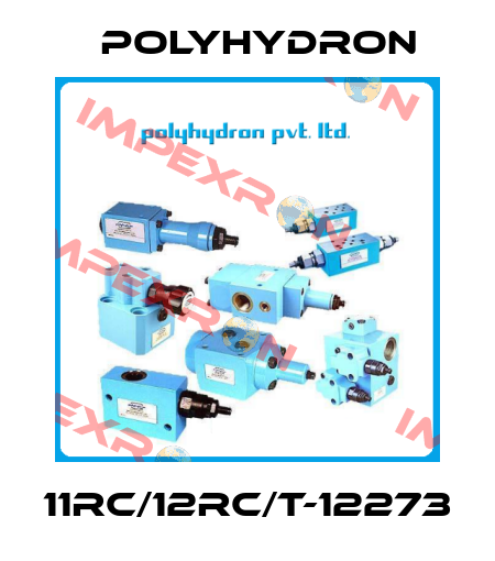 11RC/12RC/T-12273 Polyhydron