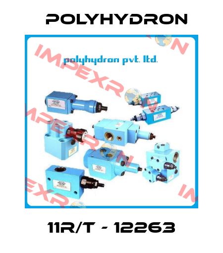 11R/T - 12263 Polyhydron