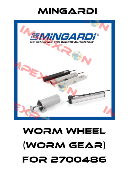 worm wheel (worm gear) for 2700486 Mingardi