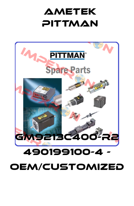 GM9213C400-R2 490199100-4 - OEM/customized Ametek Pittman