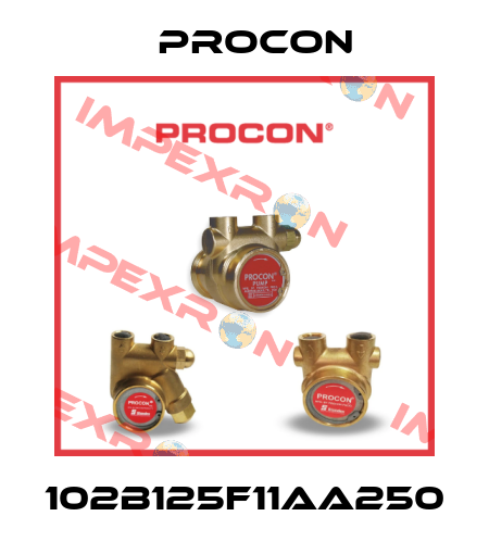 102B125F11AA250 Procon