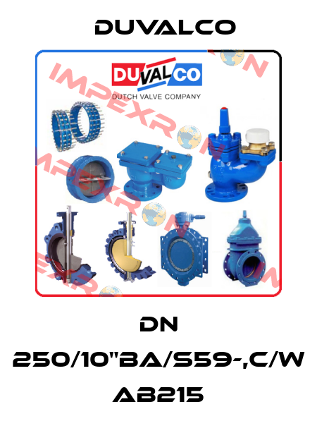 DN 250/10"BA/S59-,c/w AB215 Duvalco
