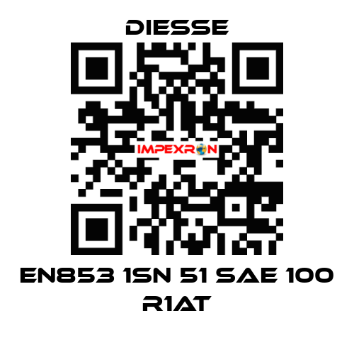 EN853 1SN 51 SAE 100 R1AT Diesse