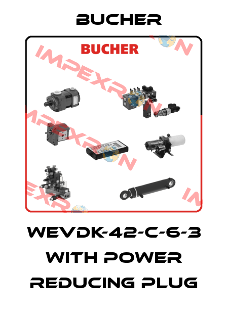 WEVDK-42-C-6-3 with power reducing plug Bucher