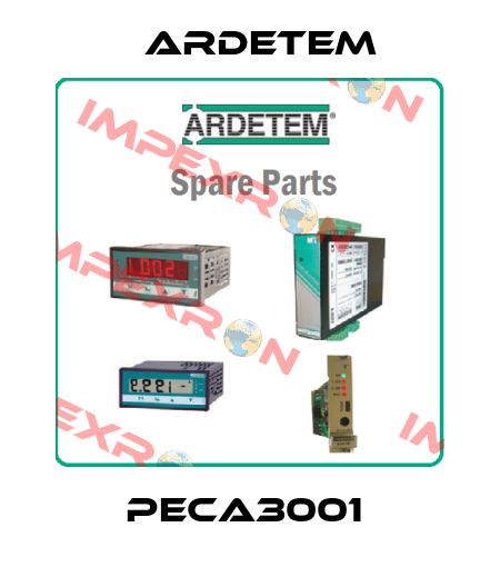 PECA3001  ARDETEM