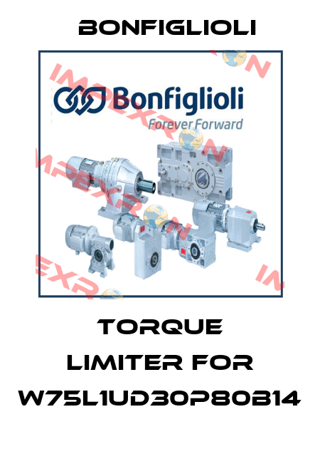 torque limiter for W75L1UD30P80B14 Bonfiglioli