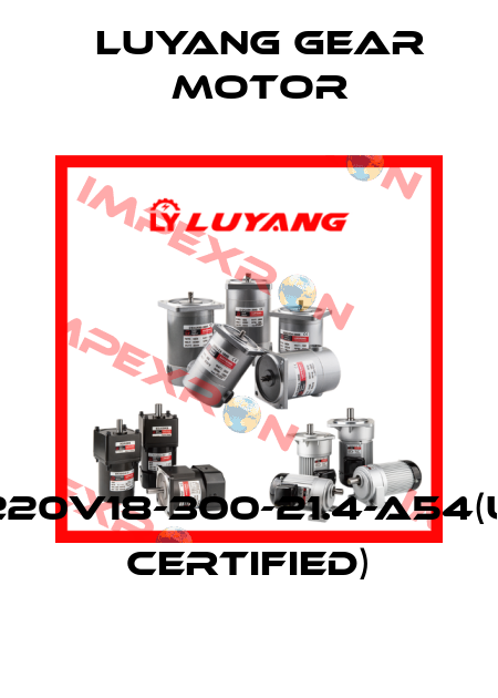 J220V18-300-21.4-A54(UL certified) Luyang Gear Motor