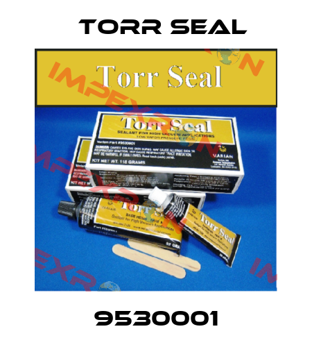 9530001 Torr seal