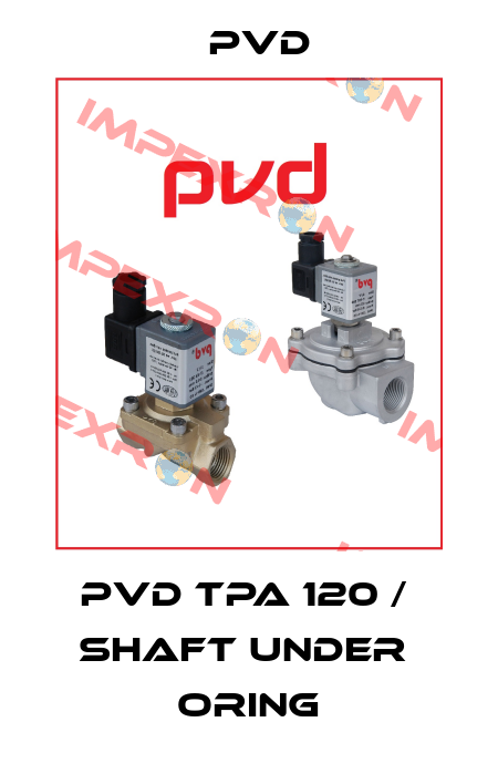 PVD TPA 120 /  Shaft Under  Oring Pvd