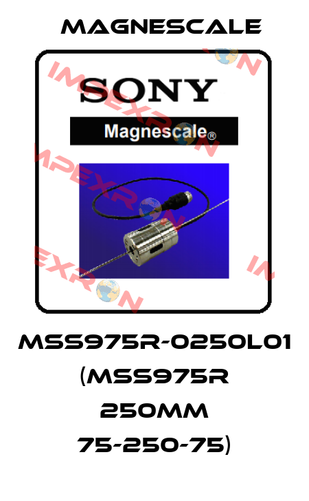 MSS975R-0250L01 (MSS975R 250mm 75-250-75) Magnescale
