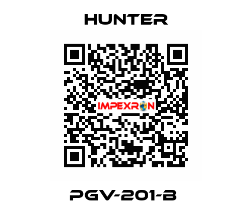 PGV-201-B  Hunter