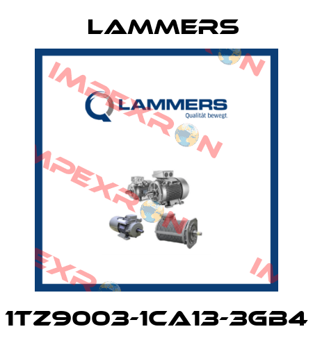 1TZ9003-1CA13-3GB4 Lammers