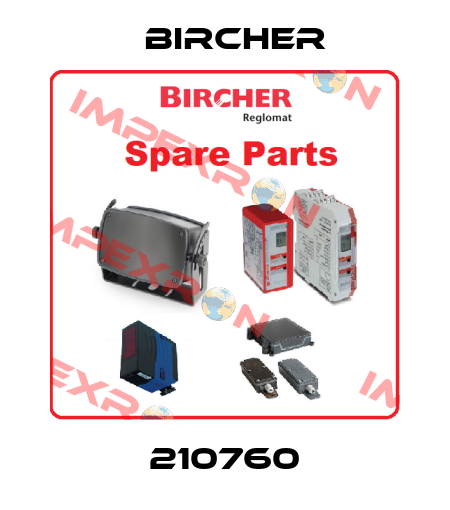 210760 Bircher