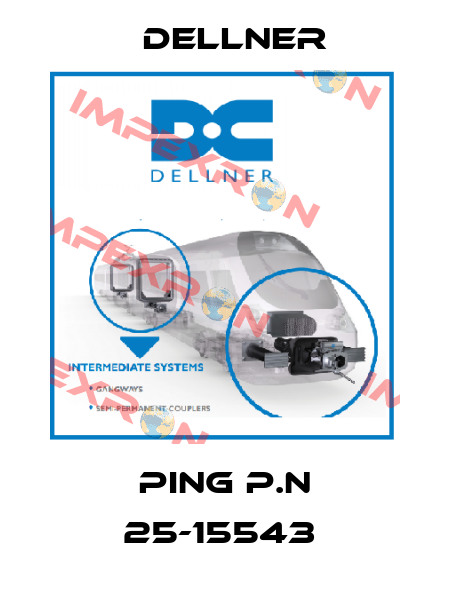 PING P.N 25-15543  Dellner