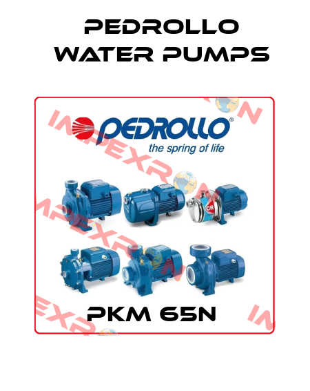 PKM 65N  Pedrollo Water Pumps