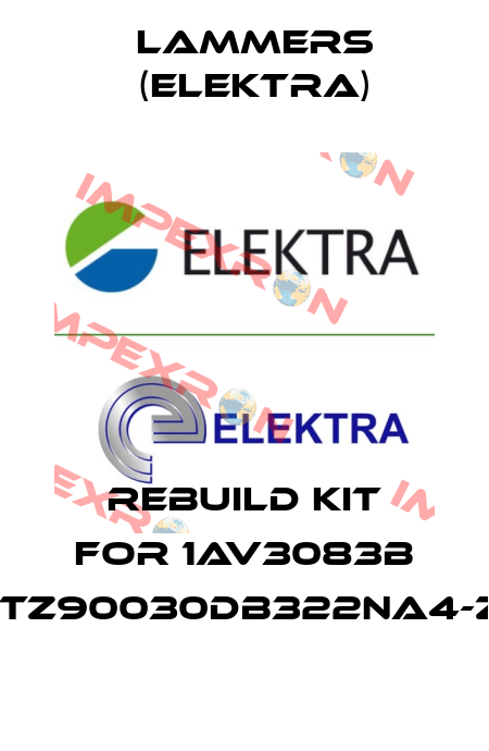 Rebuild kit for 1AV3083B 1TZ90030DB322NA4-Z Lammers (Elektra)