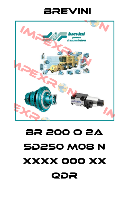 BR 200 O 2A SD250 M08 N XXXX 000 XX QDR Brevini