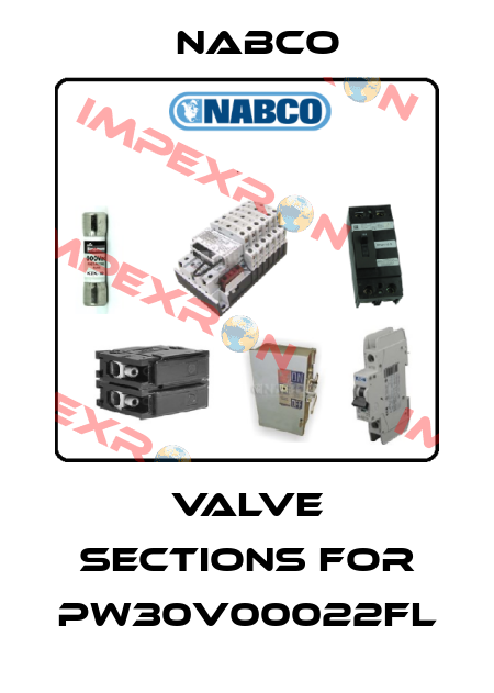 Valve sections for PW30V00022FL Nabco