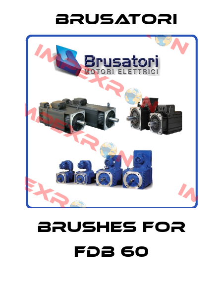 Brushes for FDB 60 Brusatori